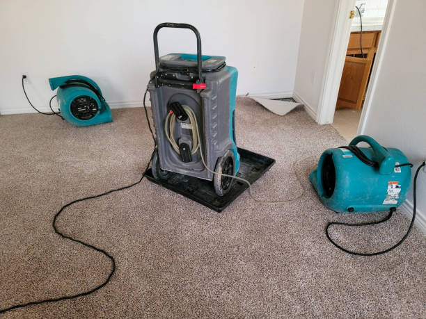 Best Water damage restoration near me  in Stem, NC