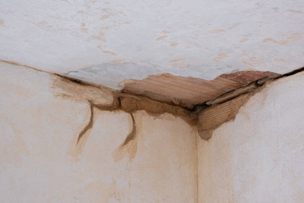 Best 24-hour water damage restoration  in Stem, NC