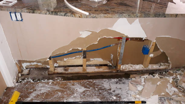 Best Sewage cleanup and water damage restoration  in Stem, NC