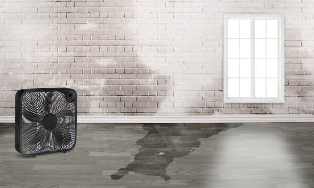 Best Residential water damage restoration  in Stem, NC
