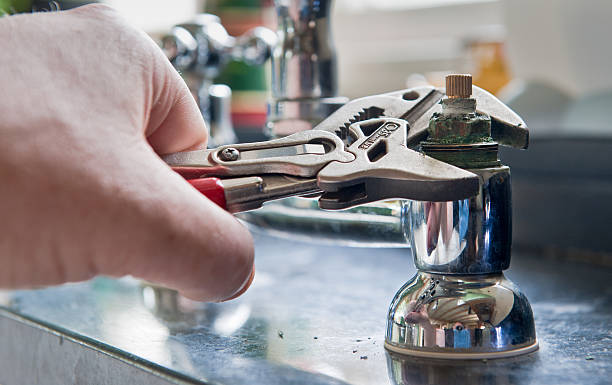 Best Water damage cleanup near me  in Stem, NC