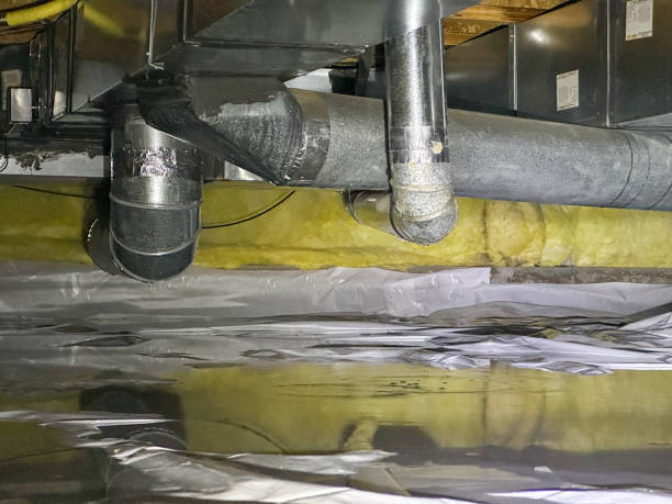  Stem, NC Water damage restoration Pros