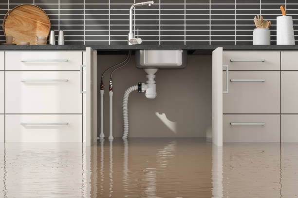 Best Flood damage cleanup  in Stem, NC