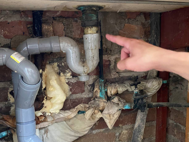 Best Local water damage restoration  in Stem, NC