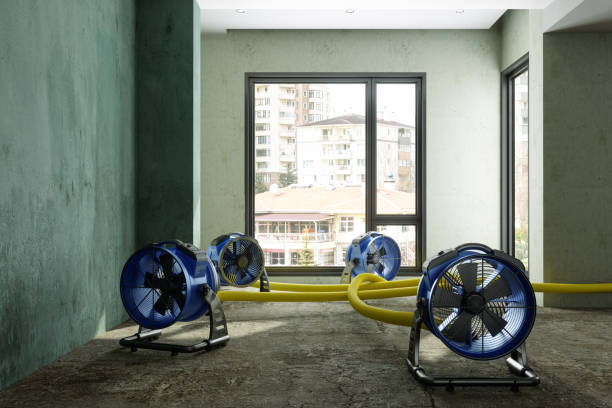 Best Fire Damage Restoration  in Stem, NC