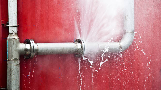 Best Carpet water damage restoration  in Stem, NC