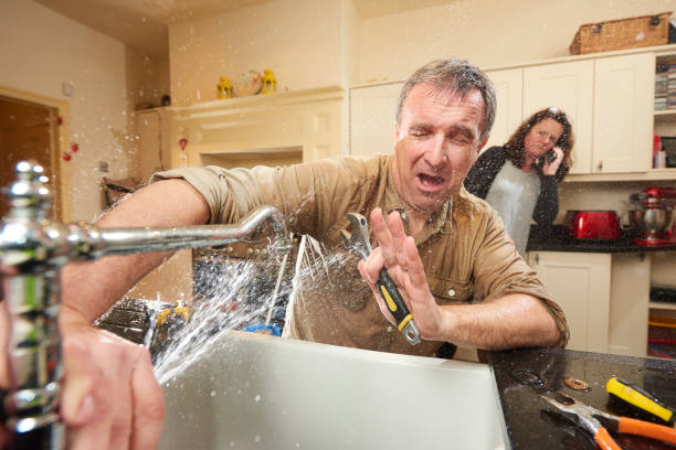 Best Professional water damage repair  in Stem, NC